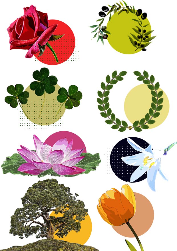 növényi szimbólumok